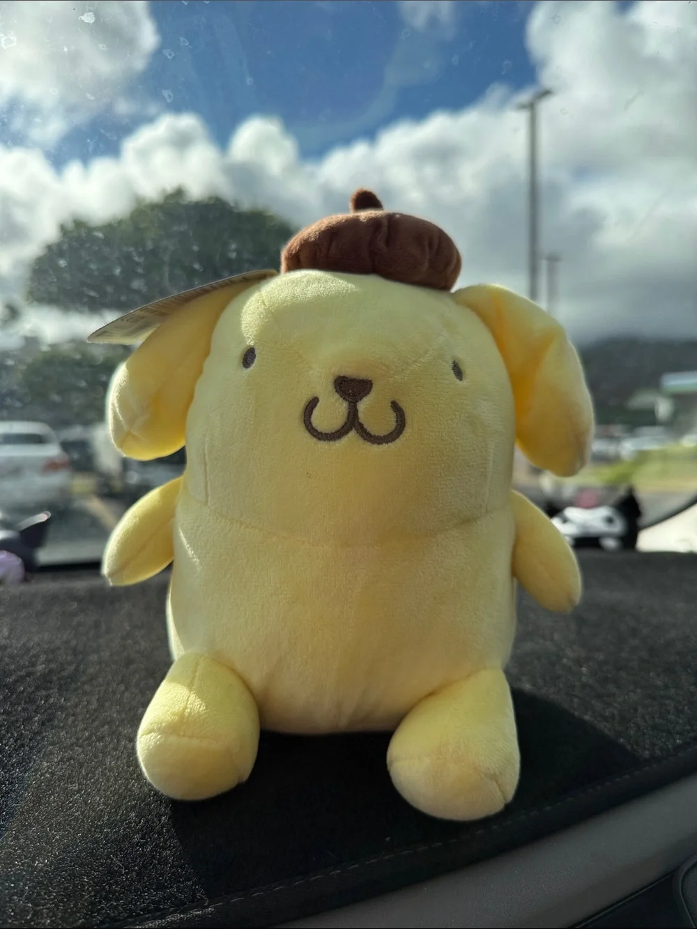 Pompompurin (Hello Kitty and Friends)